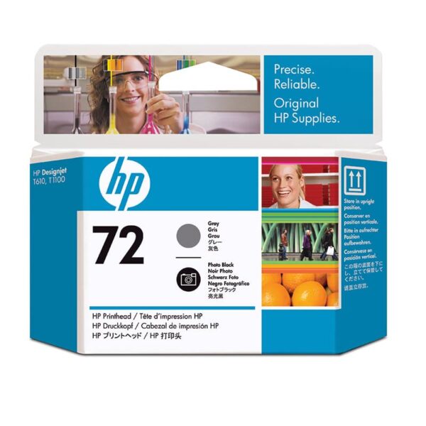 HP 72 Gray and Photo Black Printhead